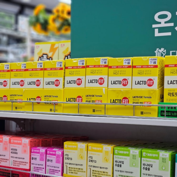  다이소 영양제 가격, 락토핏 골드 구입처 추천