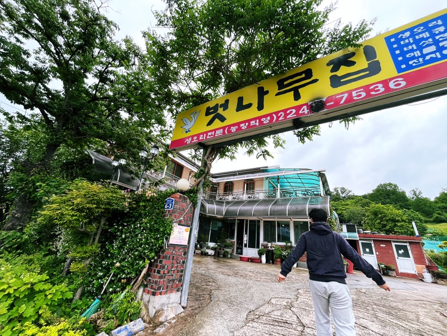 벗나무집 사진 2