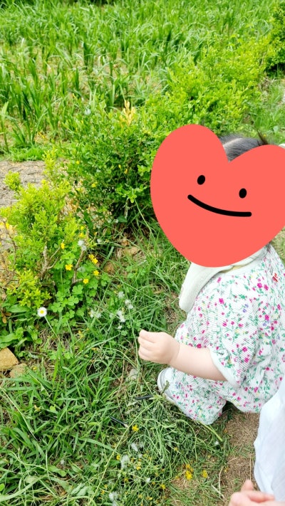 어린이집 영아 바깥놀이 활동목록 : 네이버 블로그