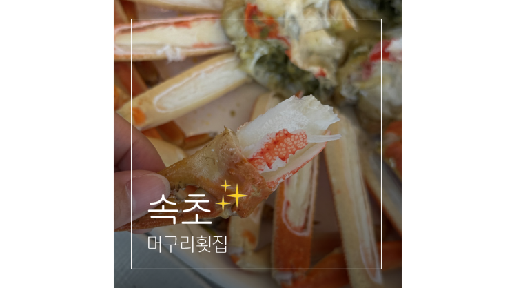  대포항 대게 맛집 머구리횟집 ㅣ 강원도 속초 애견동반 식당 가볼만한곳