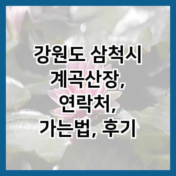 계곡산장 사진 1