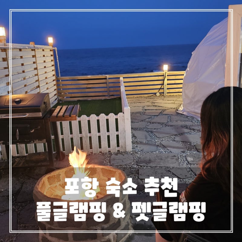 사진 2
