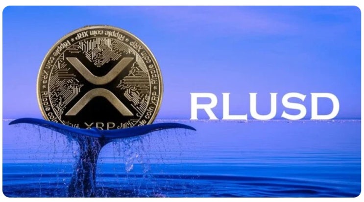  현재 리플사에서 추진하고 있는 여러가지 일들(CIRCLE사 인수추진, 히든로드 인수, RLUSD발행 등)이 XRP 투자에 미치는 영향에 대한 고찰