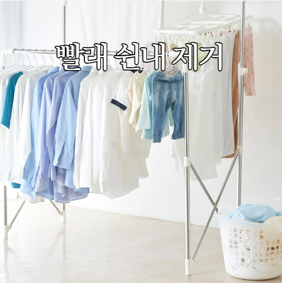  빨래 쉰내 제거법, 한번에 냄새 없애는 꿀팁 총정리