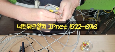  강원도 인제 사무실랜공사 네트워크 선 설치 작업 입니다