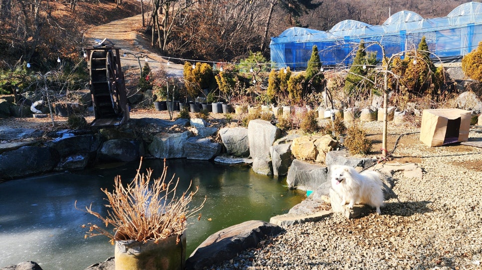 시골집민물장어 사진 5