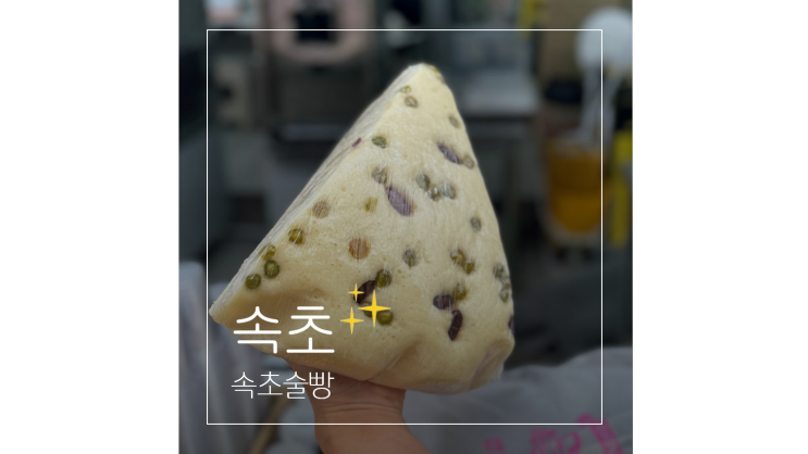 속초중앙시장 먹거리 탐방 ㅣ 막걸리술빵 맛집 오픈런 ㅣ 보관 TIP