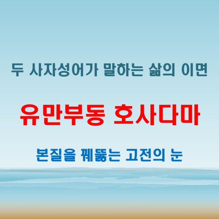  유만부동 호사다마 뜻에서 드러나는 속뜻을 꿰뚫는 시선