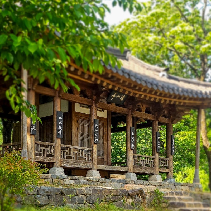 사진 2