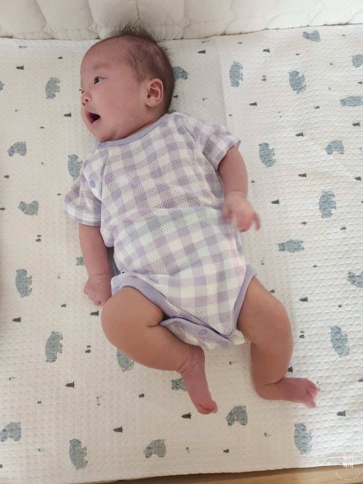  [육아일기] 내돈내산 코니 뉴본 밤부 스와들 파우치와 뉴본 코튼메쉬 바디수트