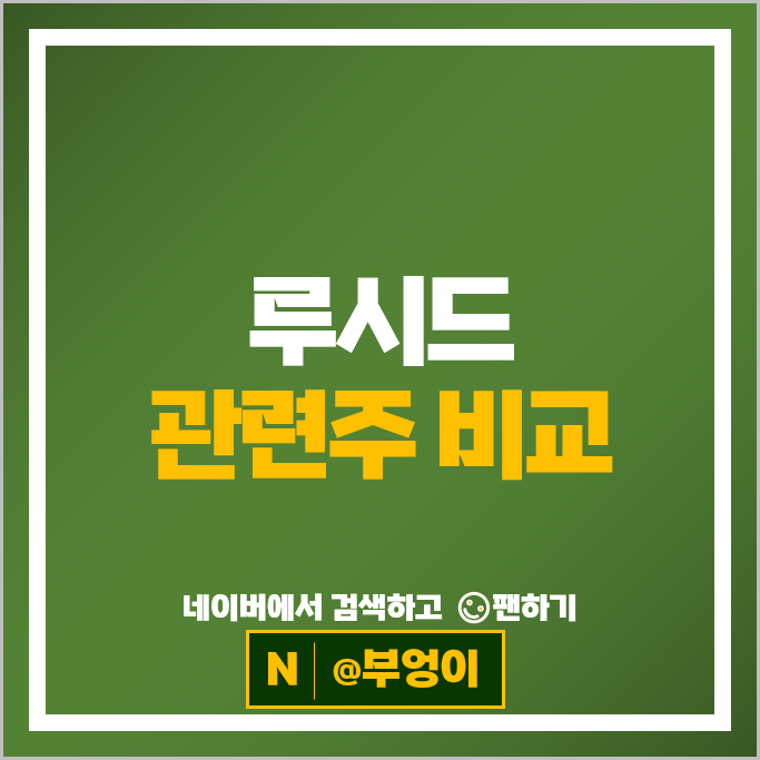 루시드 모터스 관련주 에코프로비엠 명신산업 주가 알멕 주식 루시드 모터스 관련주 에코프로비엠 명신산업 주가 알멕 주식