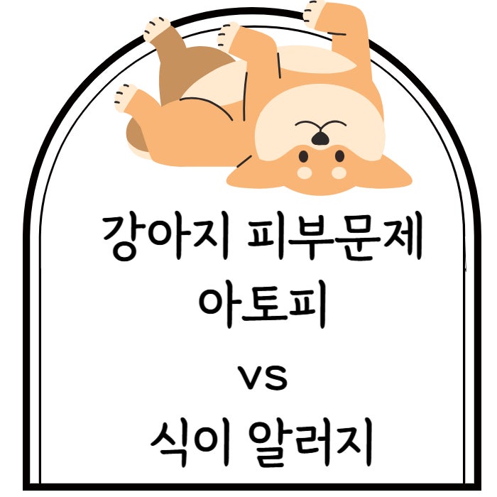  강아지 피부문제 ! 식이 알러지일까 아토피일까?