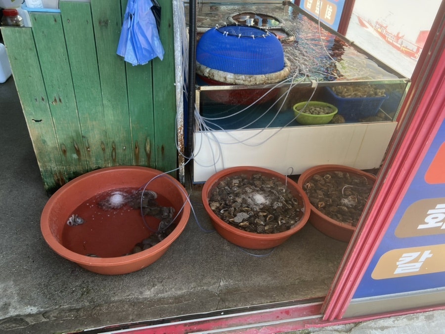 등대회집 사진 4