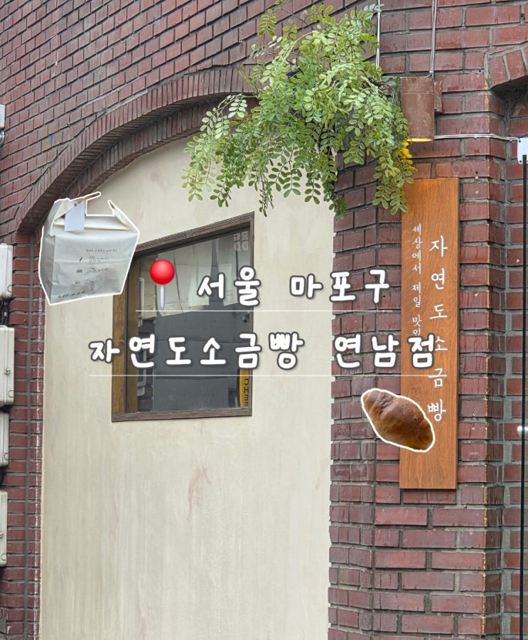  연남동 자연도 소금빵 연남점 후기｜디저트 선물 추천
