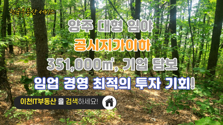  양주 대형 임야 급매: 351,000, 기업 담보 & 임업 경영 최적의 투자 기회! 