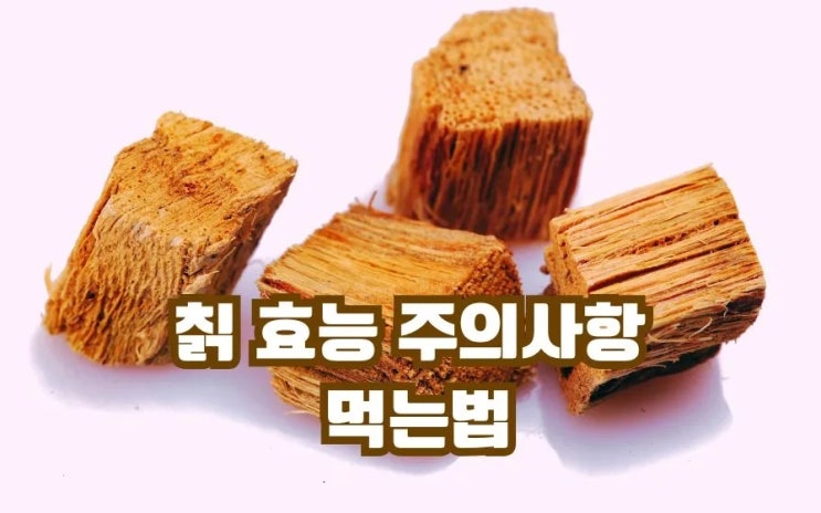  칡 효능 부작용 주의사항 칡 먹는법 칡즙 칡차