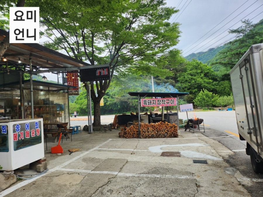 송백식당 사진 4