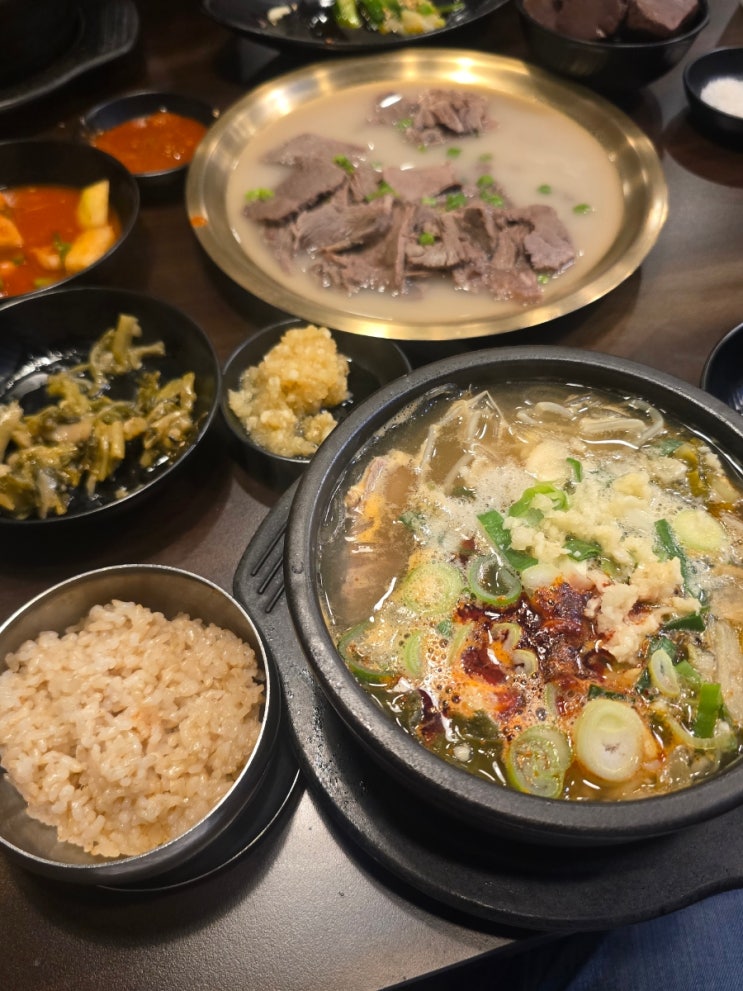  상암동 해장국 맛집 도락 양반's 국밥 '효종갱' 점심 내돈내산 후기