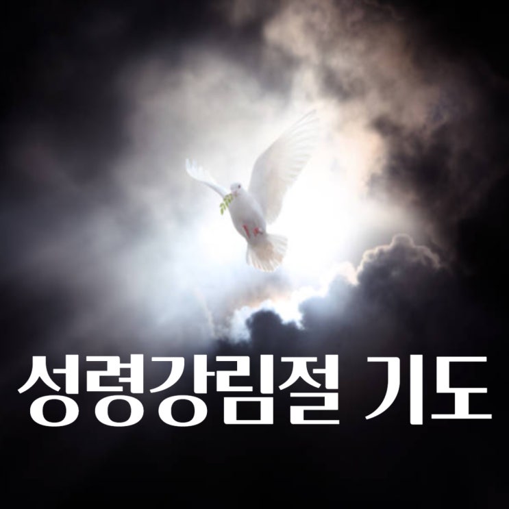  성령강림절 주일예배 대표기도문