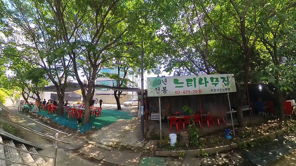 느티나무집 사진 1