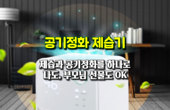 뽀송뽀송한 제습 생활...2 in 1 제습기와 공기정화를 하나로