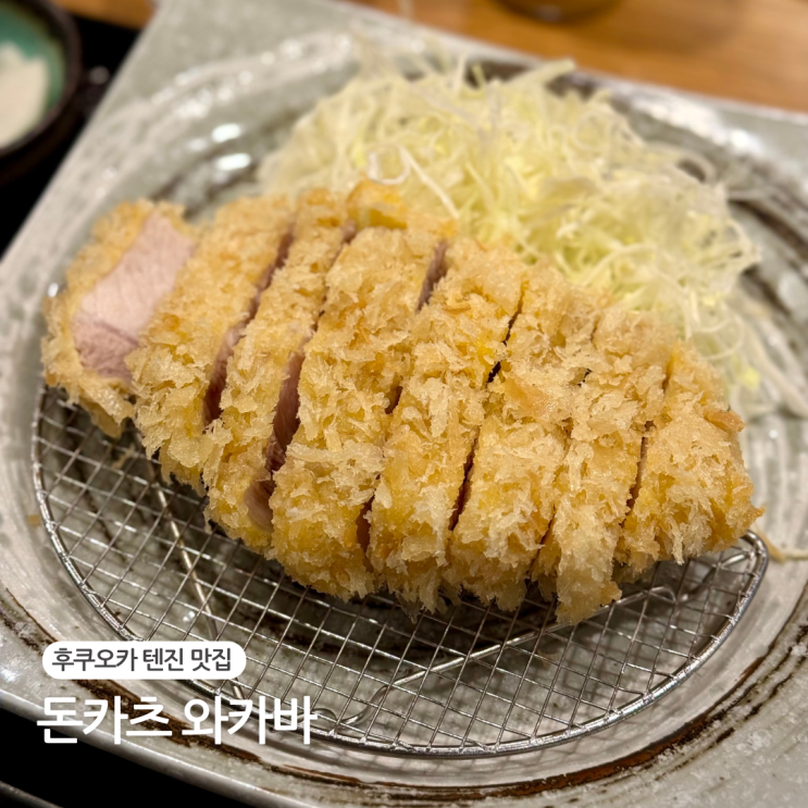  후쿠오카 텐진 맛집 돈카츠 와카바 오픈런 웨이팅 후기