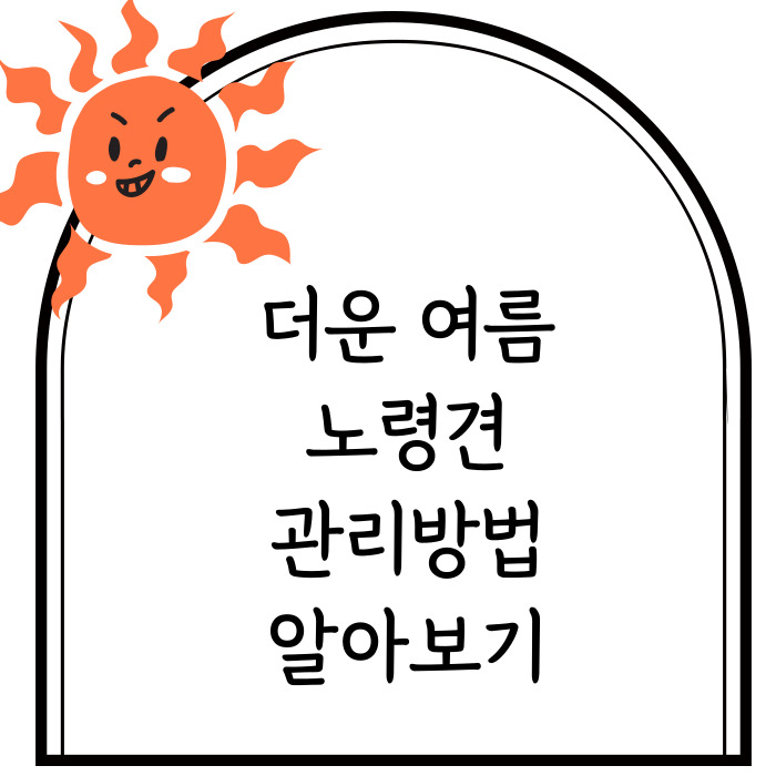  노령견 여름철 건강관리 ! 열사병과 탈수 예방법