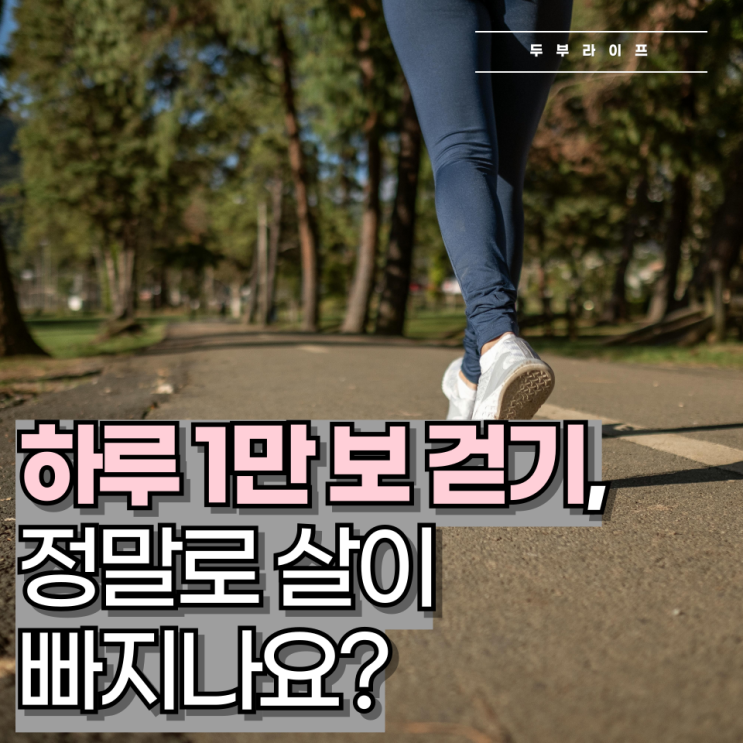 하루 1만 보 걷기, 정말로 살이 빠지나요?