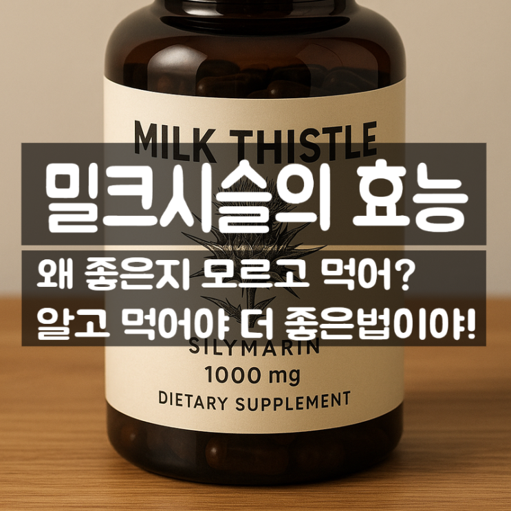  밀크시슬 효능 부작용 총정리 – 숙취 해독과 실리마린 성분의 힘