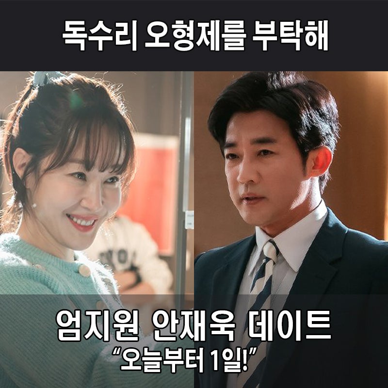 독수리 오형제 부탁해 엄지원 안재욱 연애시작 중년 로맨스