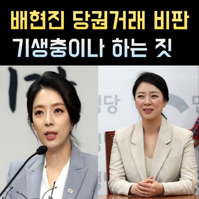 배현진 프로필, 나이 고향 학력 재산 정치경력