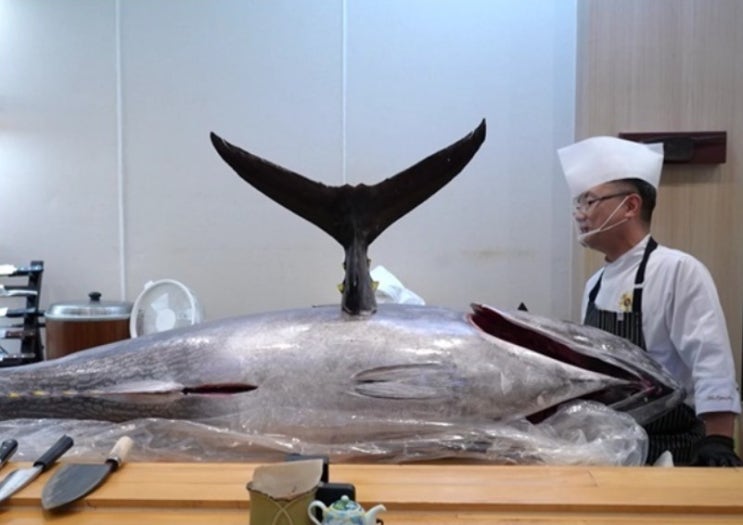 '사당귀' <b>안유성</b>, 1000만원 상당 166kg 생<b>참치 해체쇼</b> [N컷]