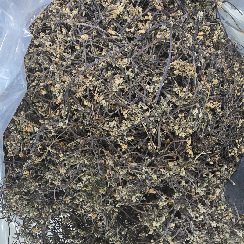 지리산고사리 재배, 채취하여 맛있고, 부드러운 국내산 마른 건 고사리나물을 만들어 판매하....