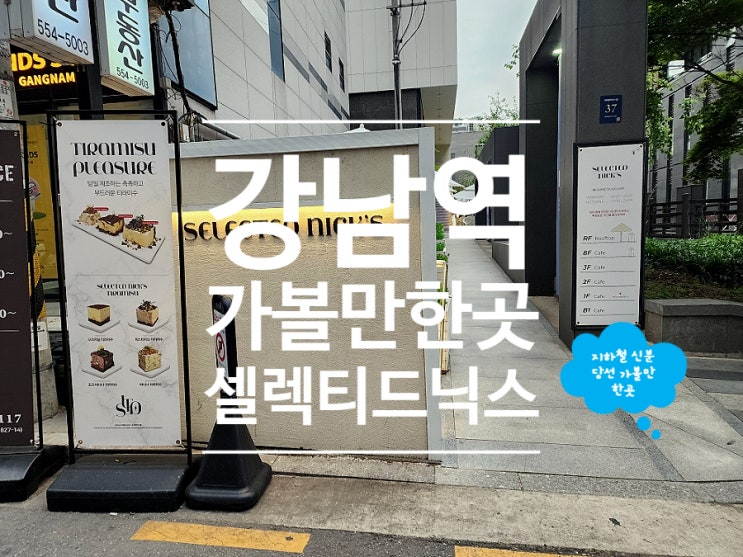  강남역 카페 대형 루프탑 도심뷰 티라미수 셀렉티드닉스