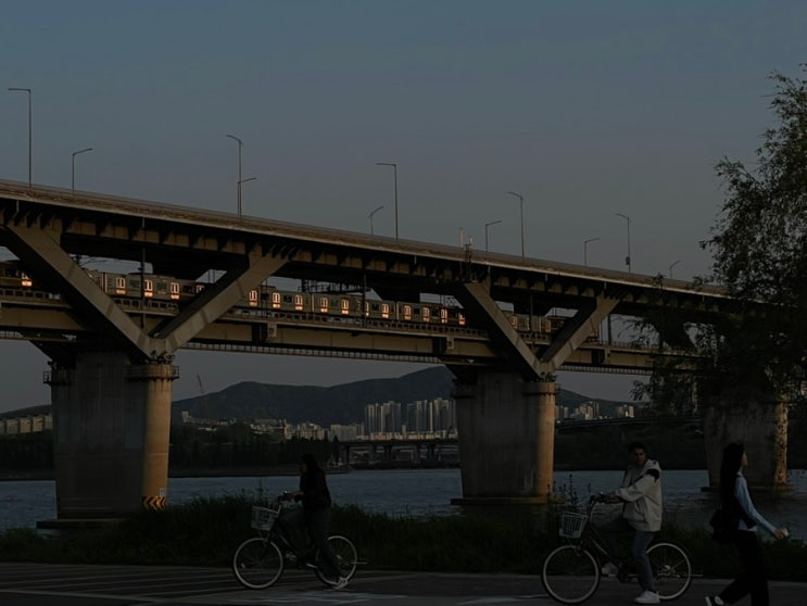  이게 뭐냐면(10)