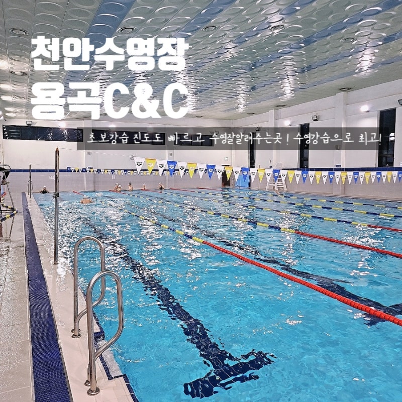 천안 수영장 용곡C&C 초급 수영강습