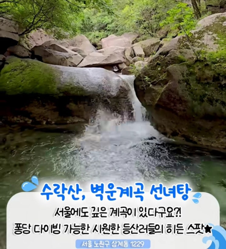   서울 도심 속 계곡 물놀이 명소 BEST 5