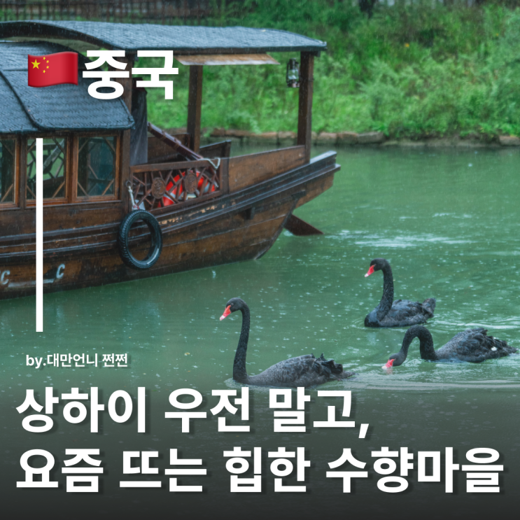  상하이 수향마을 초신상 핫플 복원고진 濮院古镇 수향마을 상하이 근교여행