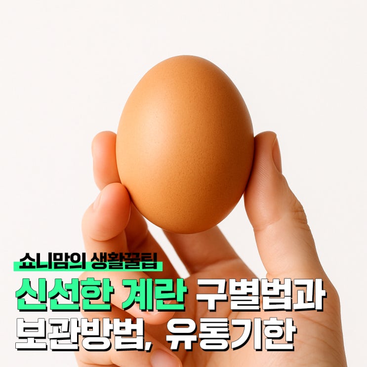 신선한 계란, 오래된 계란 구별법과 보관방법, 유통기한