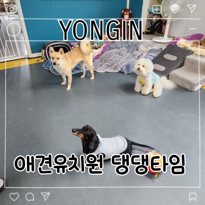 사진 2