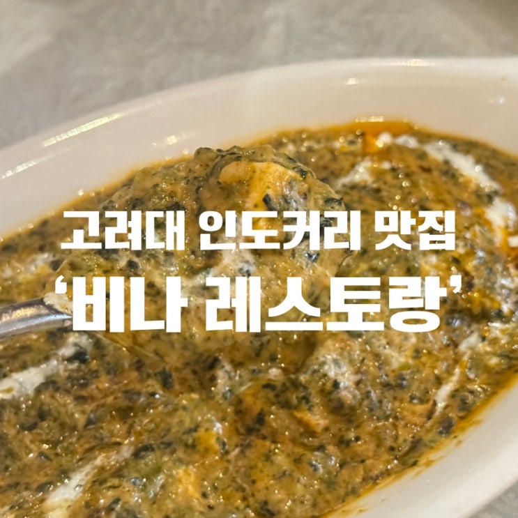  [고려대 인도커리] 현지인이 직접 운영하는 인도커리 맛집 ‘비나레스토랑’