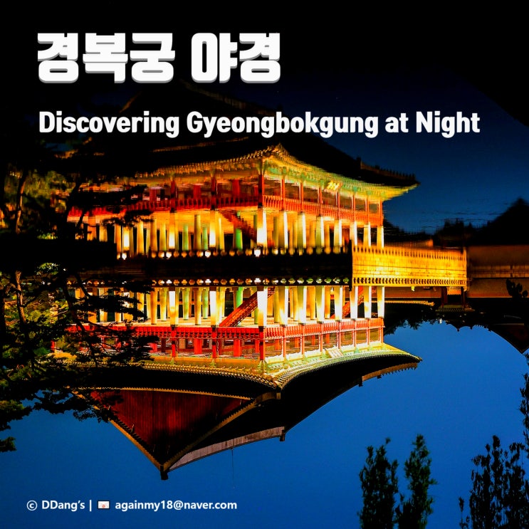  경복궁 야경, 빛과 인내 사이｜RF 24-105mm & 시그마 135mm Art로 담은 한밤의 기록