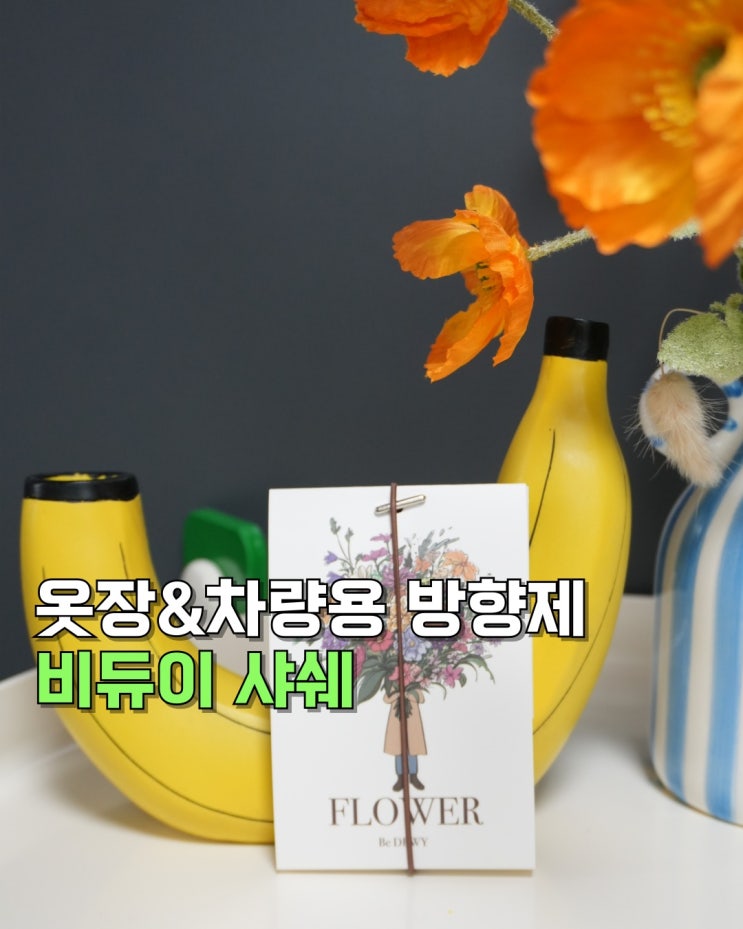  차량용방향제/옷장방향제 추천_ 산뜻한 비듀이 샤쉐