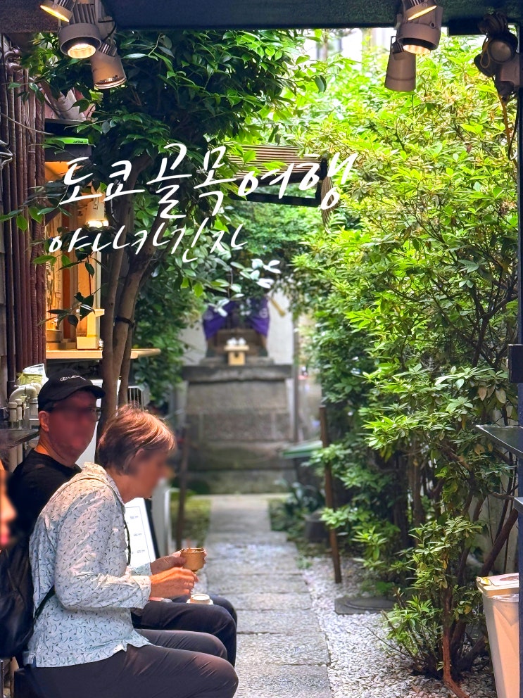  나리타 공항 이동 전 좋은 코스, 닛포리 야나카긴자 산책