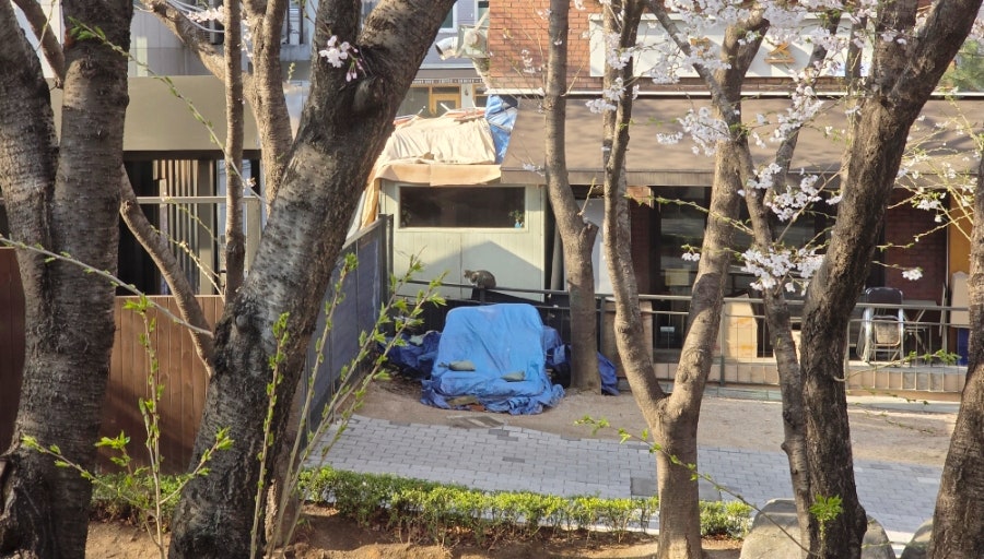 비어오크 마장점 사진 1