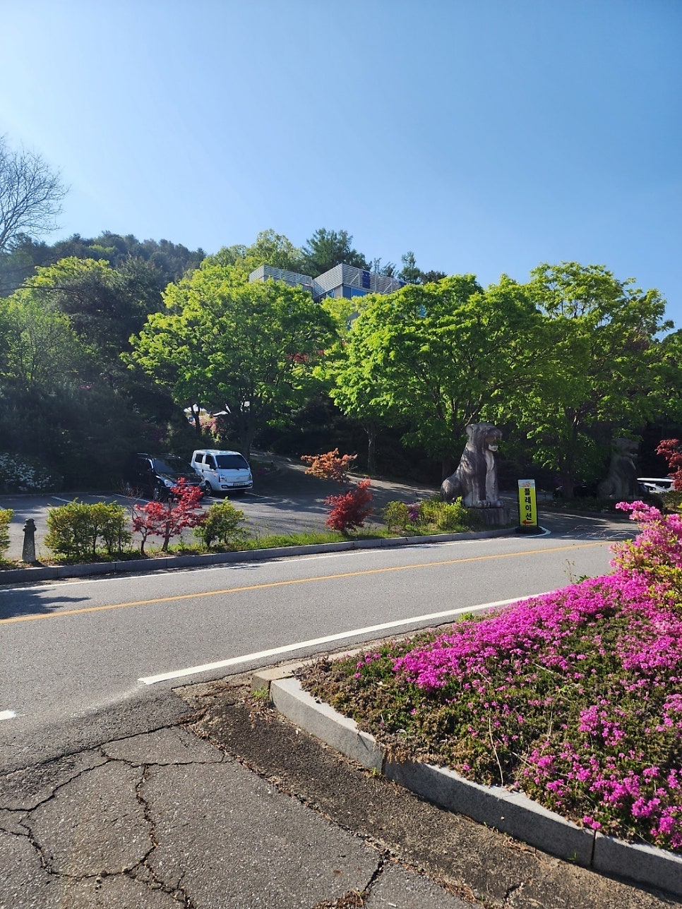플레이션펜션 사진 1