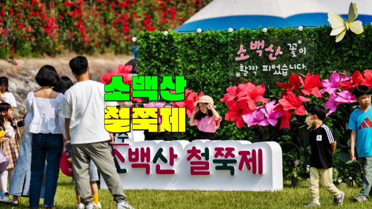 2025 영주 소백산 철쭉제 기본정보 · 피크닉콘서트 초대가수 죽령옛길걷기 소백산 등산코스 2025 영주 소백산 철쭉제 기본정보 · 피크닉콘서트 초대가수 죽령옛길걷기 소백산 등산코스