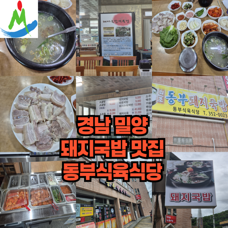  경남 밀양 돼지국밥 맛집 동부식육식당