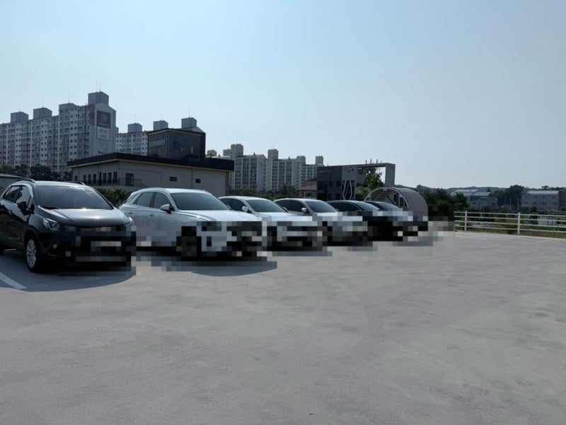 사진 6