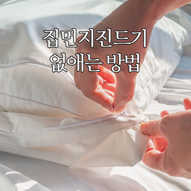  집먼지진드기 베개 이불 진드기 없애는 방법